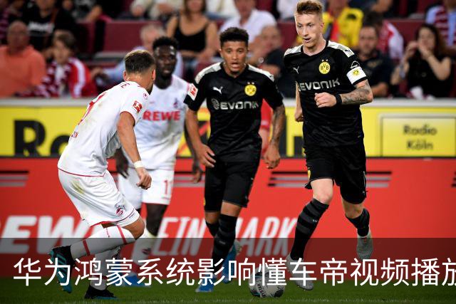 华为鸿蒙系统影响懂车帝视频播放问题引争议，客服回应是兼容性问题